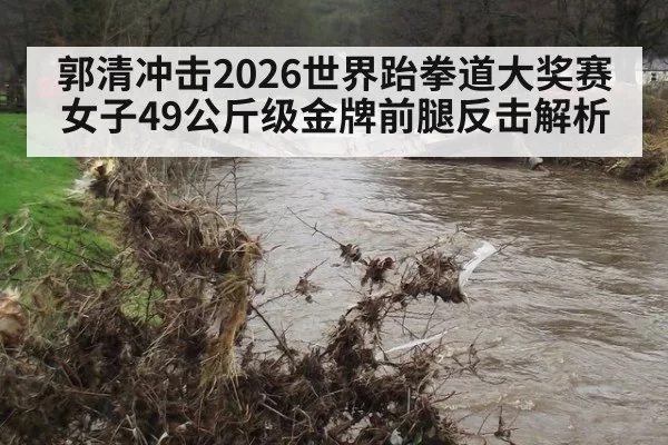 郭清冲击2026世界跆拳道大奖赛女子49公斤级金牌前腿反击解析